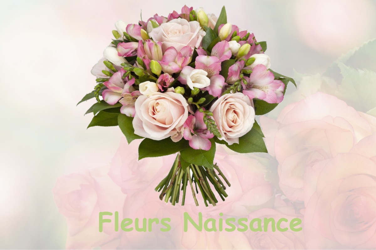 fleurs naissance MAURIES