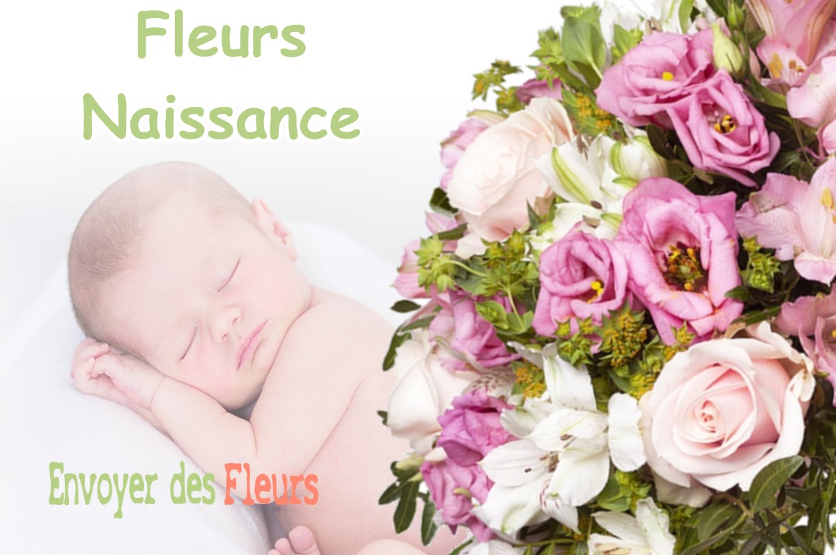 lIVRAISON FLEURS NAISSANCE à MAURIES